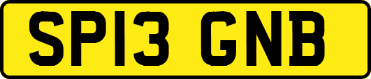 SP13GNB