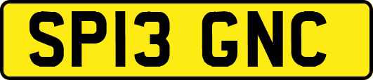 SP13GNC
