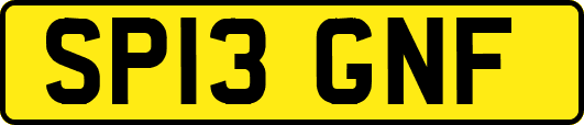 SP13GNF