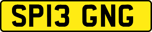 SP13GNG