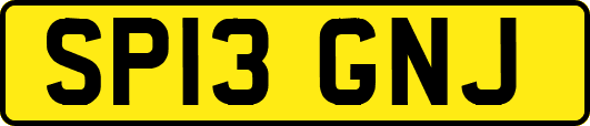 SP13GNJ