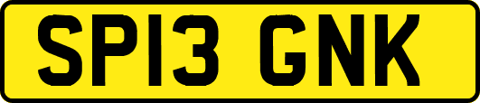 SP13GNK