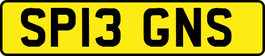 SP13GNS