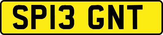 SP13GNT