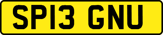 SP13GNU
