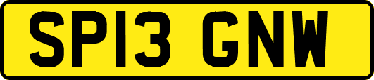 SP13GNW