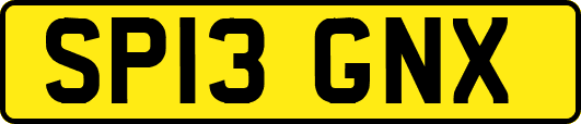 SP13GNX