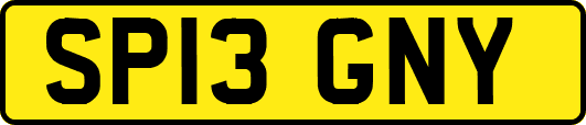 SP13GNY