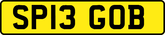 SP13GOB