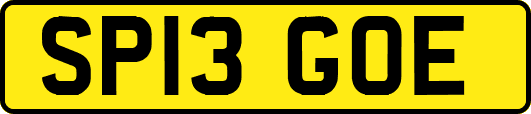 SP13GOE
