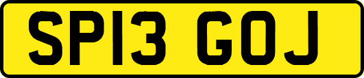 SP13GOJ