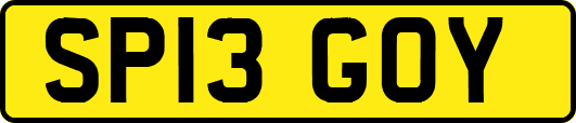 SP13GOY