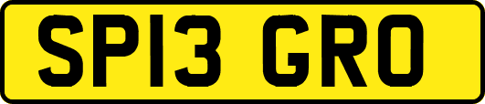 SP13GRO
