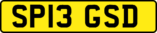 SP13GSD