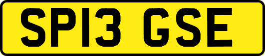 SP13GSE