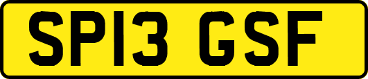 SP13GSF