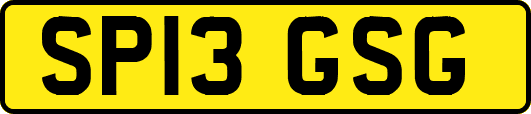 SP13GSG