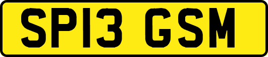 SP13GSM