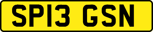 SP13GSN
