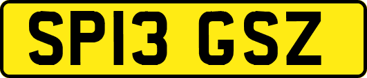 SP13GSZ