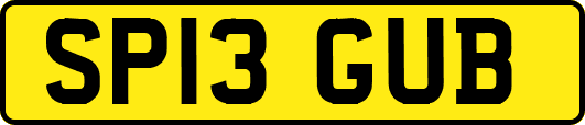 SP13GUB