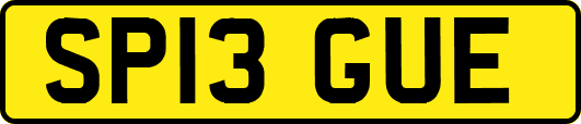SP13GUE