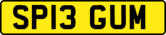 SP13GUM