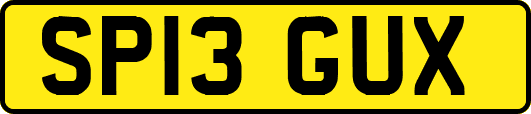 SP13GUX
