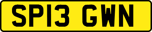 SP13GWN