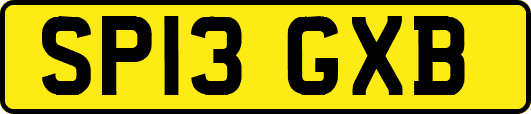 SP13GXB