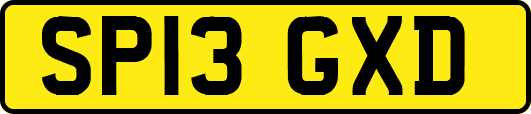 SP13GXD
