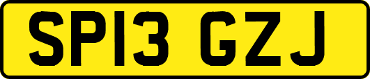 SP13GZJ