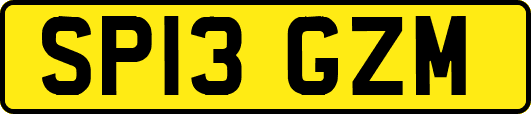 SP13GZM