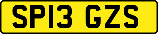 SP13GZS