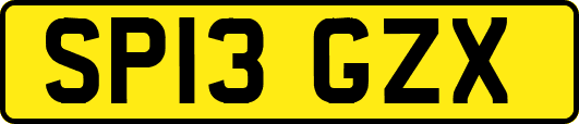 SP13GZX
