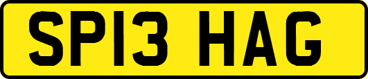 SP13HAG