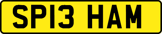 SP13HAM
