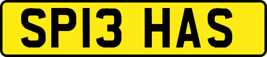 SP13HAS