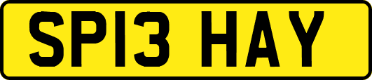 SP13HAY