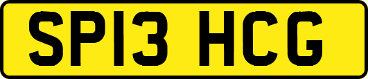 SP13HCG