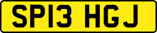 SP13HGJ