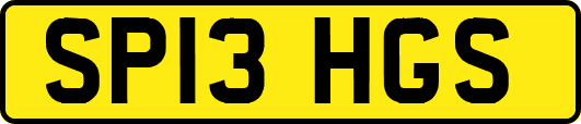 SP13HGS