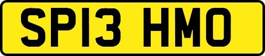 SP13HMO