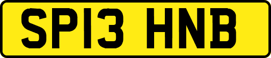 SP13HNB