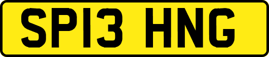 SP13HNG
