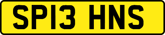 SP13HNS