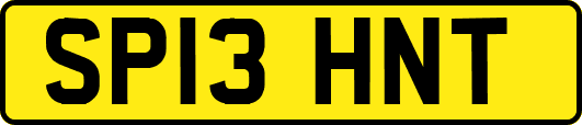 SP13HNT