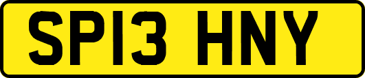 SP13HNY