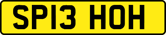 SP13HOH