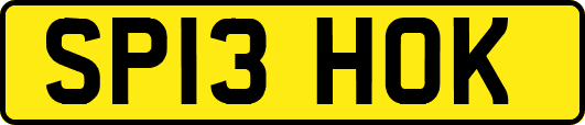 SP13HOK